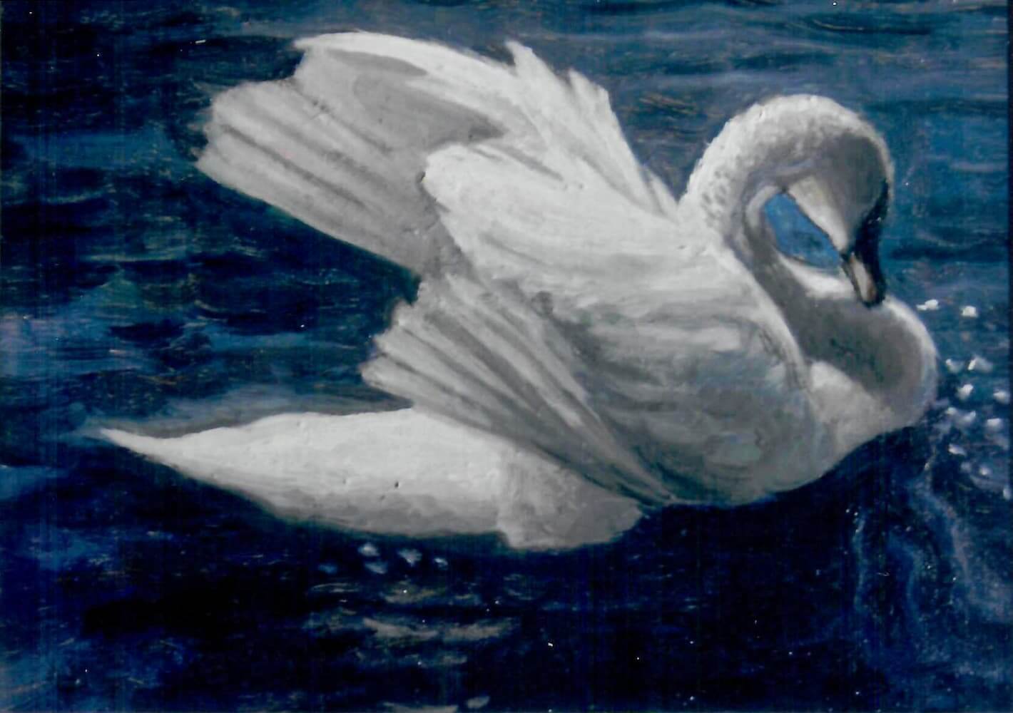 Opera di Emilio Cetti: La toilette del cigno
