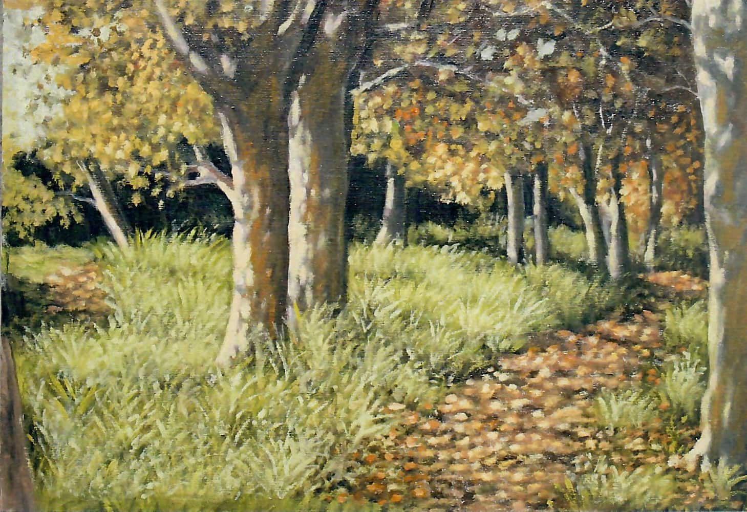 Opera di Emilio Cetti: Sentiero d'autunno in torbiera