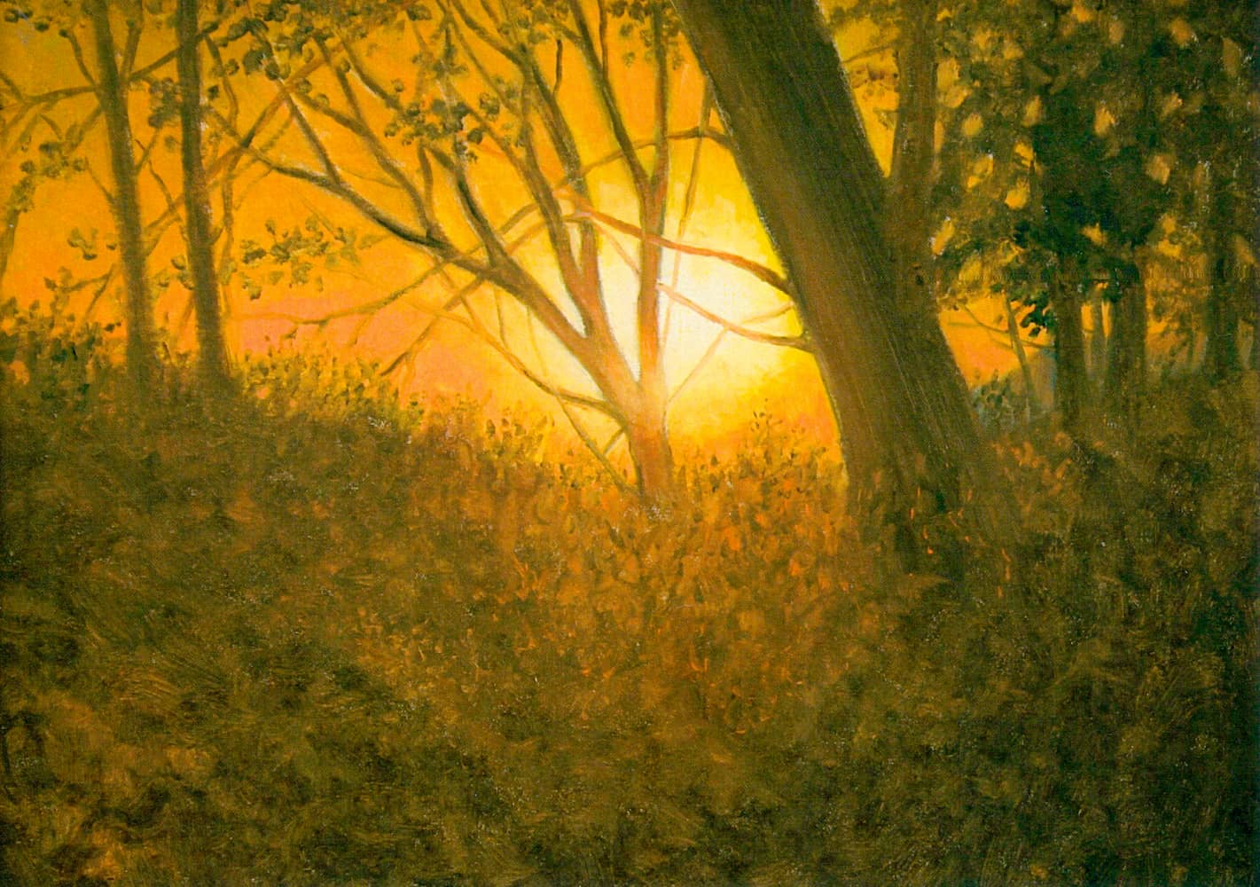 Opera di Emilio Cetti: Oltre la luce