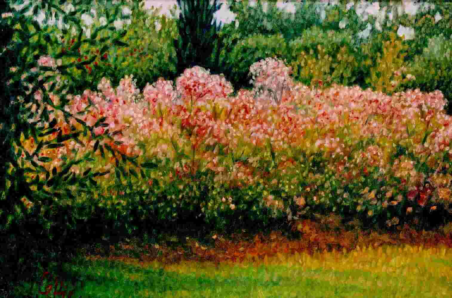 Opera di Emilio Cetti: Roseto