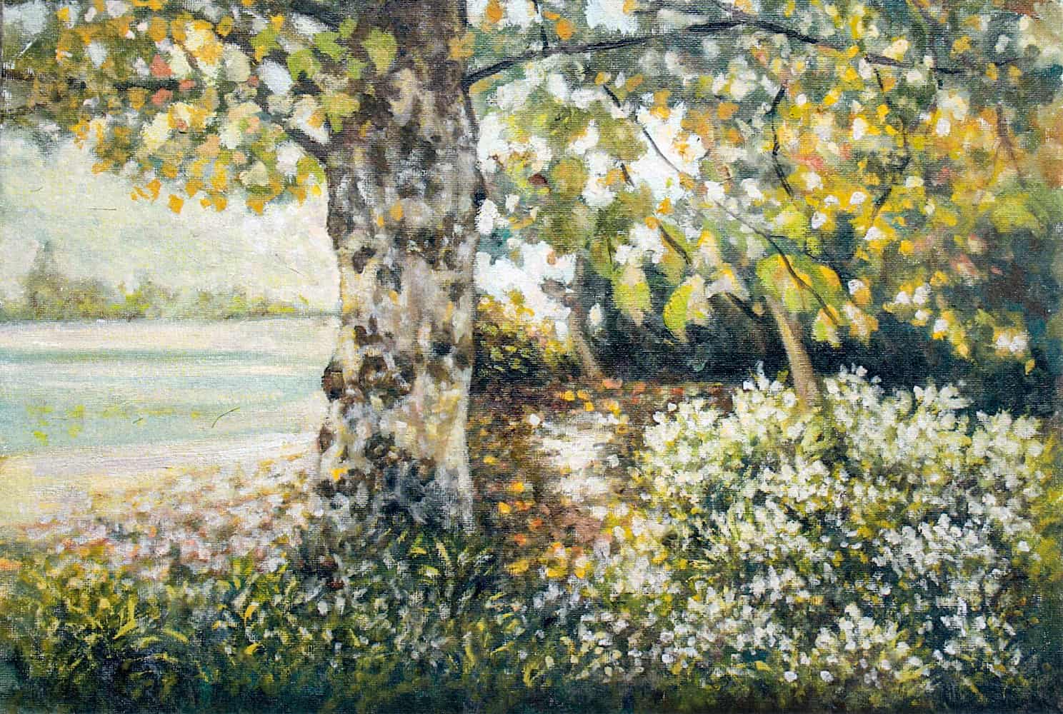 Opera di Emilio Cetti: Platano in autunno