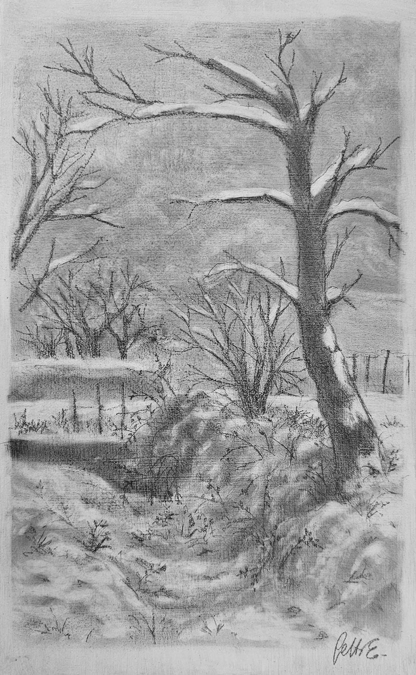 Opera di Emilio Cetti: Nevicata su legno - Serie I