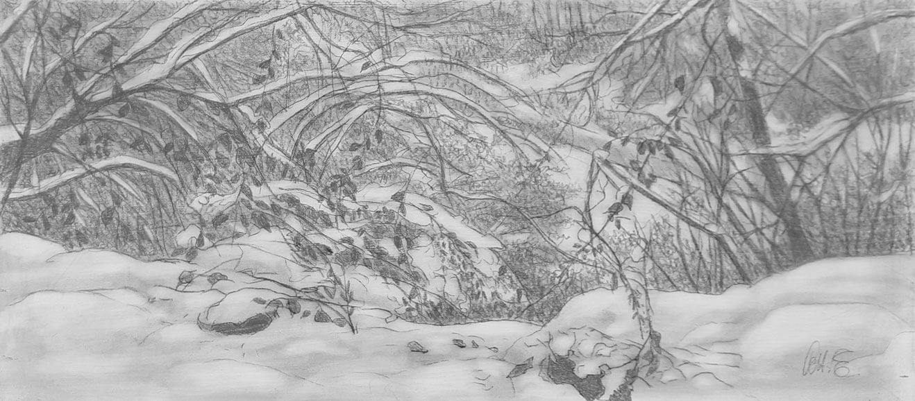 Opera di Emilio Cetti: Nevicata su legno - Serie III