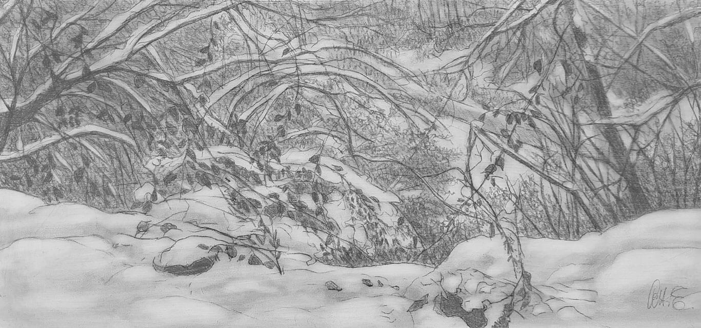 Opera di Emilio Cetti: Nevicata su legno - Serie VI