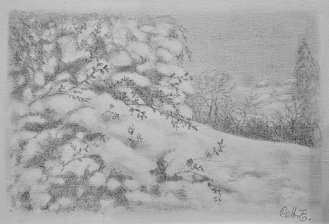 Opera di Emilio Cetti: Nevicata su legno - Serie X