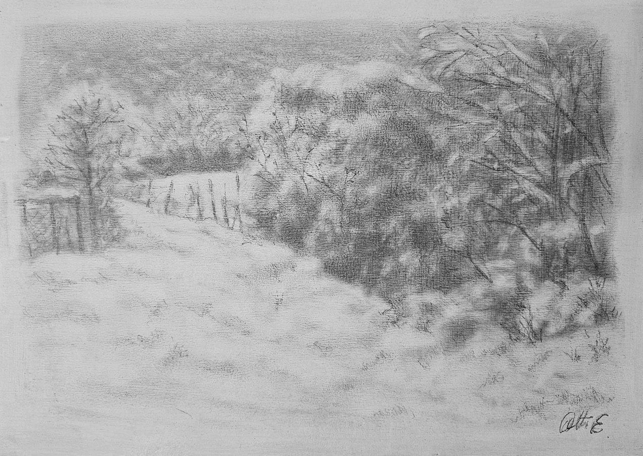 Opera di Emilio Cetti: Nevicata su legno - Serie XII