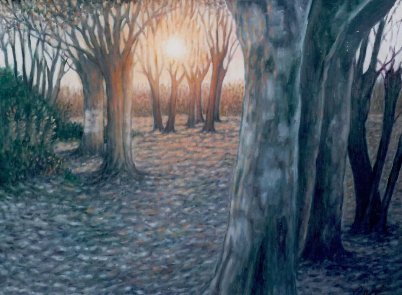 Opera di Emilio Cetti: Tramonto tra gli alberi dei filosofi