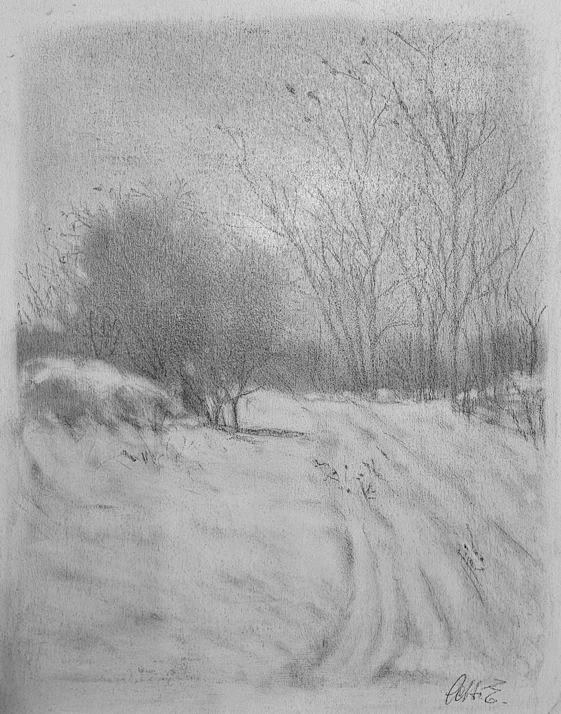 Opera di Emilio Cetti: Nevicata su legno - Serie XIV